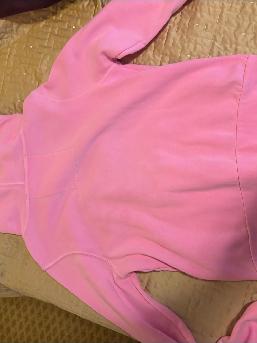 Aviator Nation Pink Fleece-Lined Hoodie - Picture 4 of 5